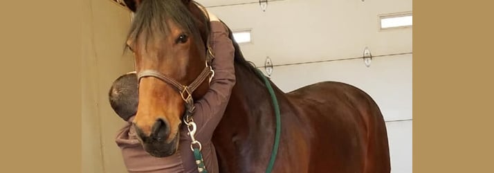 Horse-Adjustment-in-Boulder-CO Horse Chiropractic Adjustment in Niwot CO