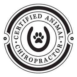 Certified Animal Chiropractor in Niwot CO