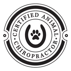 Certified-Animal-Chiropractor-in-Boulder-CO Certified Animal Chiropractor in Niwot CO